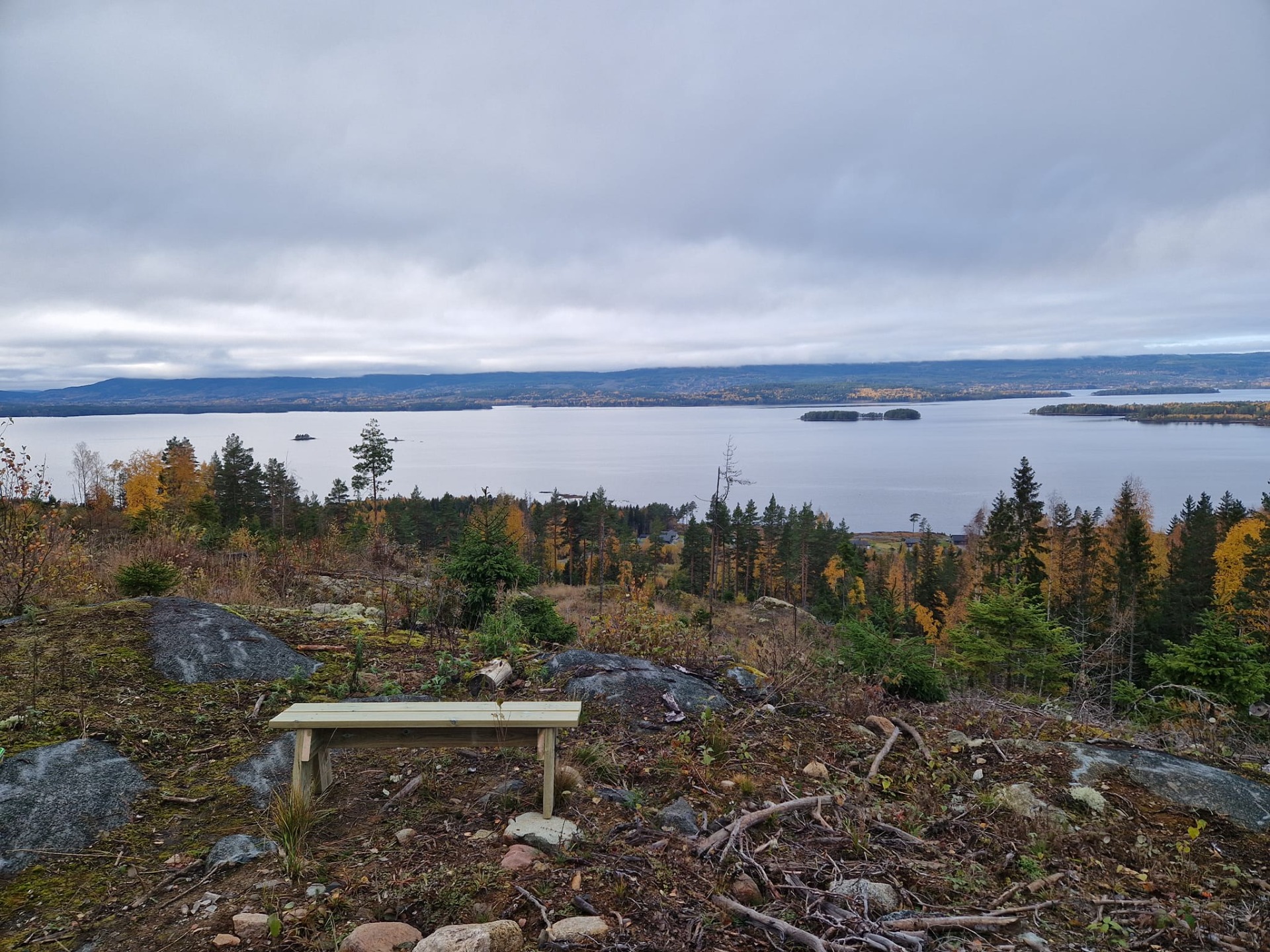 Gapahuken bygges omtrent der krakken står nå!